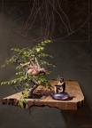 08. Bodegón con bonsay. El cortejo. (Óleo sobre lienzo 100x73 cm.)