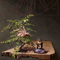 07. Bodegón con bonsay. El cortejo. (Óleo sobre lienzo 100x73 cm.).jpg